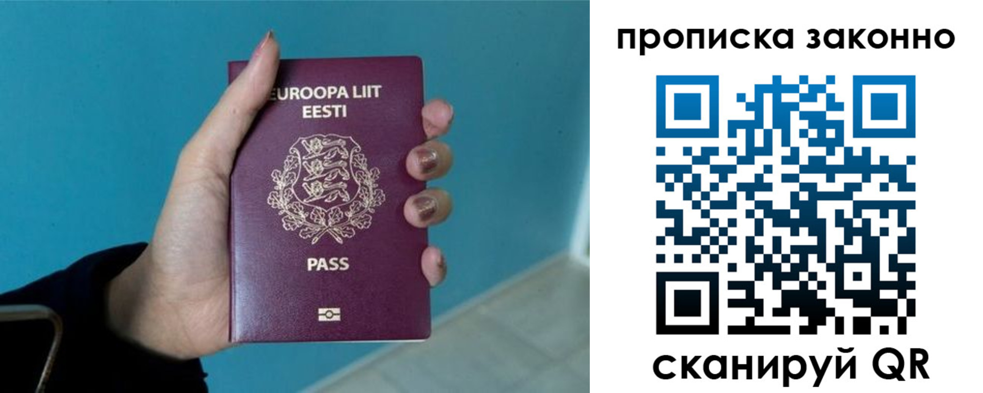 прописка гарантия в Оленегорске